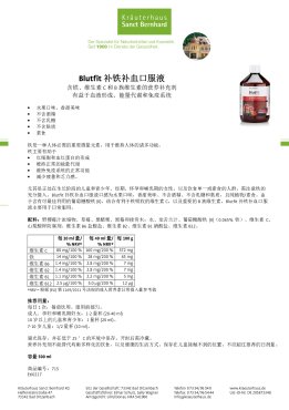 Blutfit 补铁补血口服液 500 ml 500 毫升